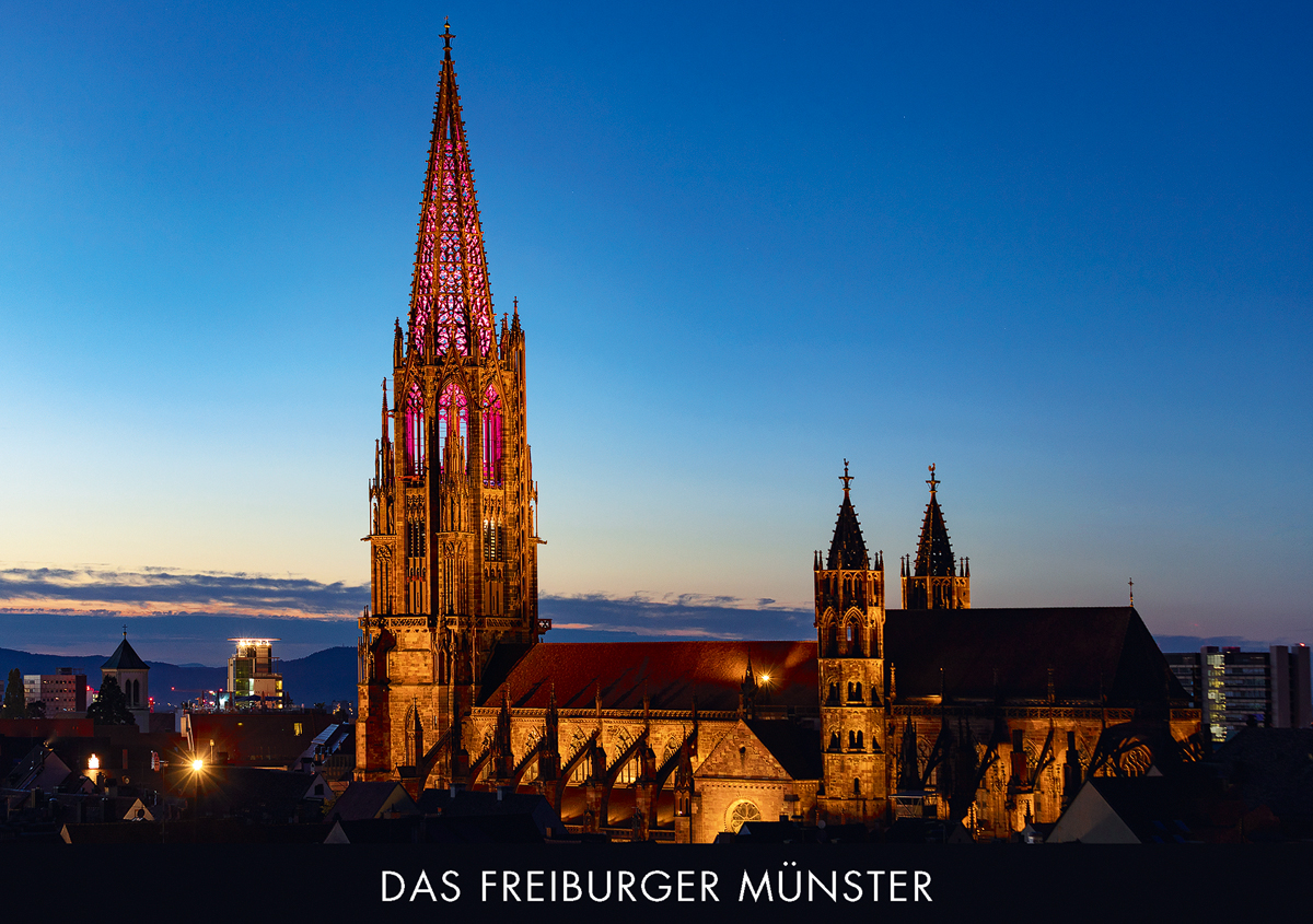 Freiburger Münster FM 28