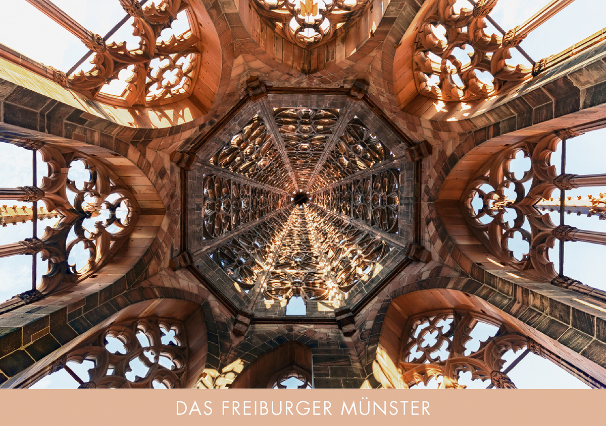 Freiburger Münster FM 29