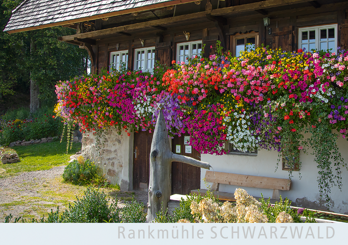 SW175 - Rankmühle bei St. Märgen