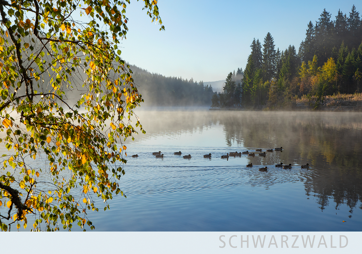 SW177 - Windgfällweiher