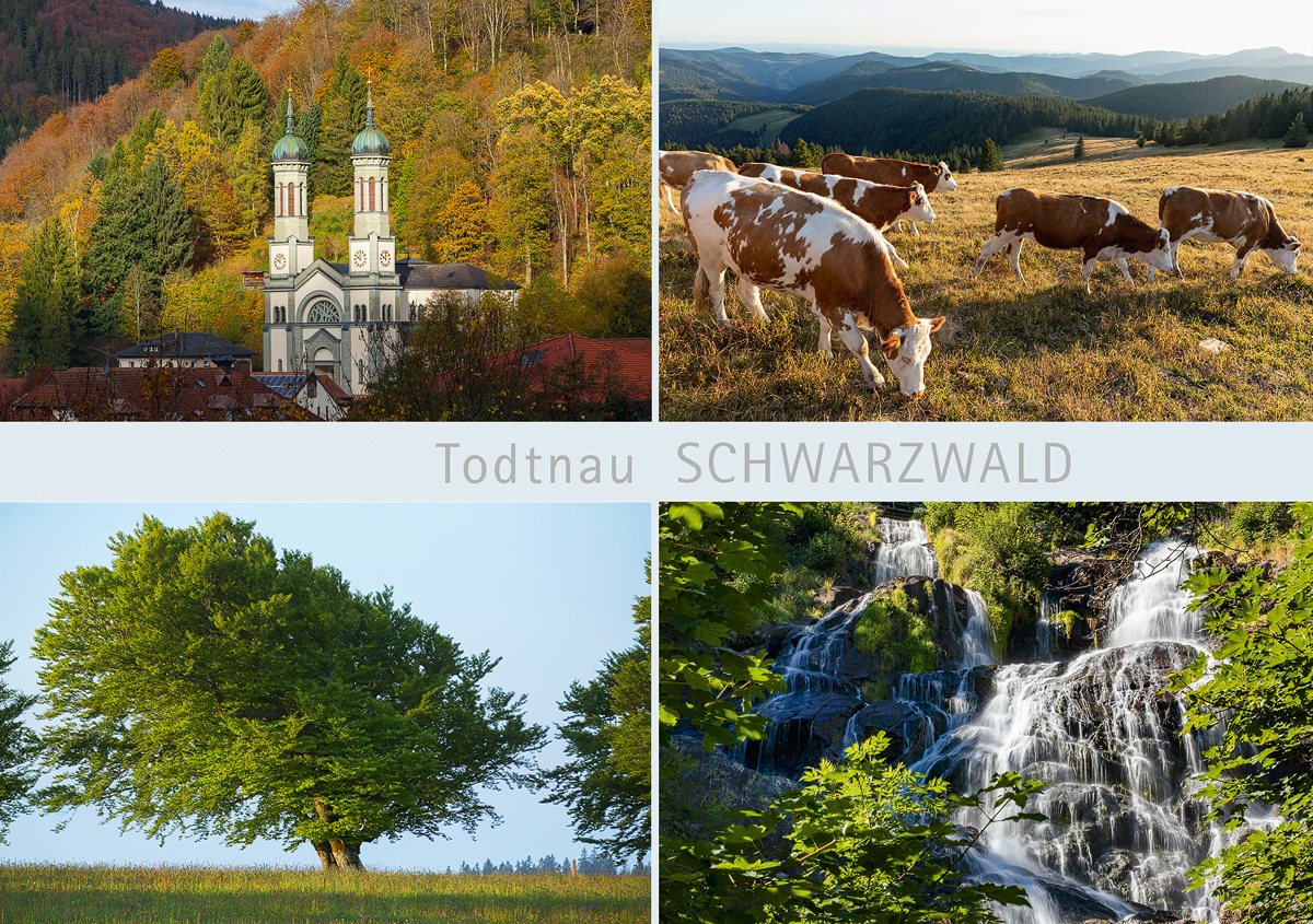 SW 139 - Todtnau