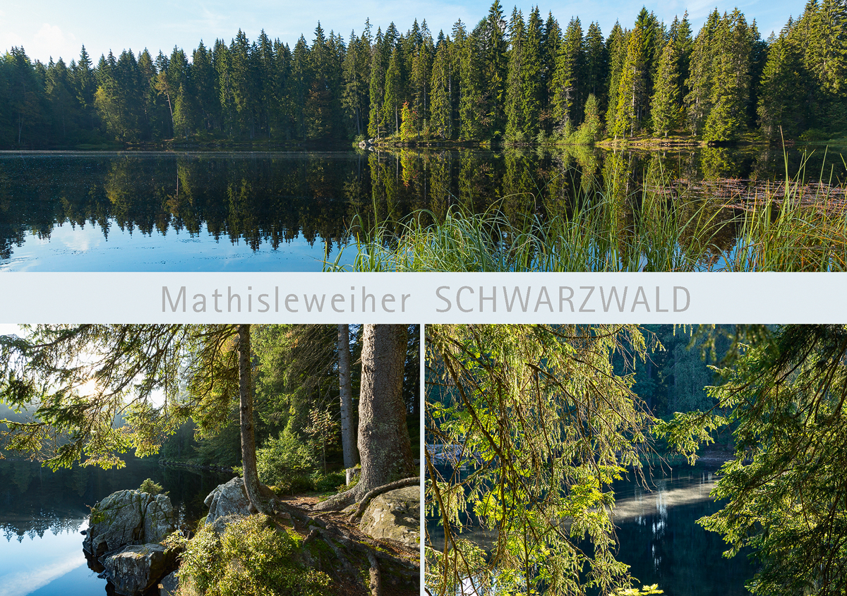 SW 142 - Mathisleweiher