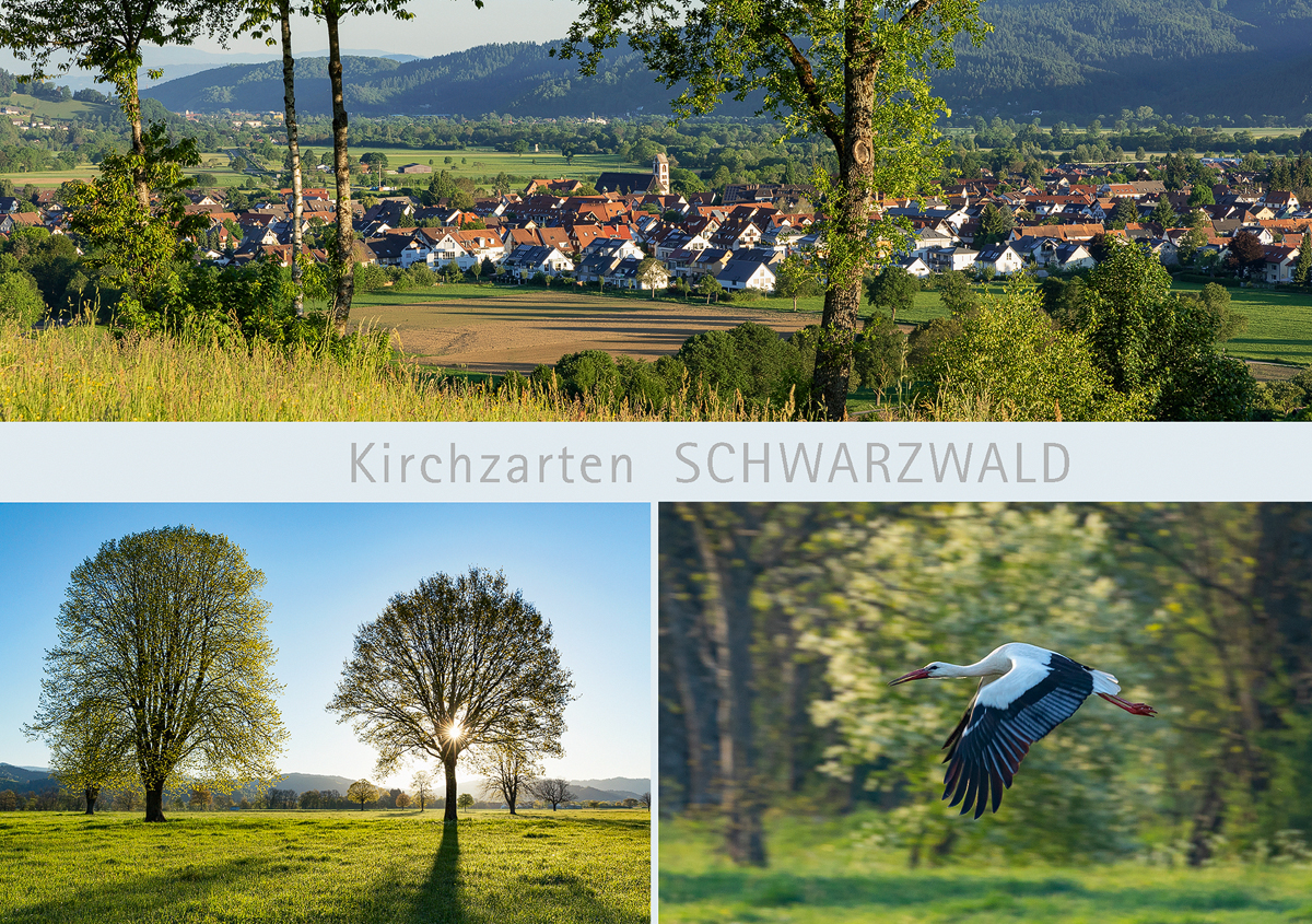 SW 145 - Kirchzarten