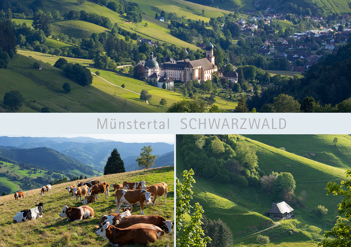 SW 150 - Münstertal