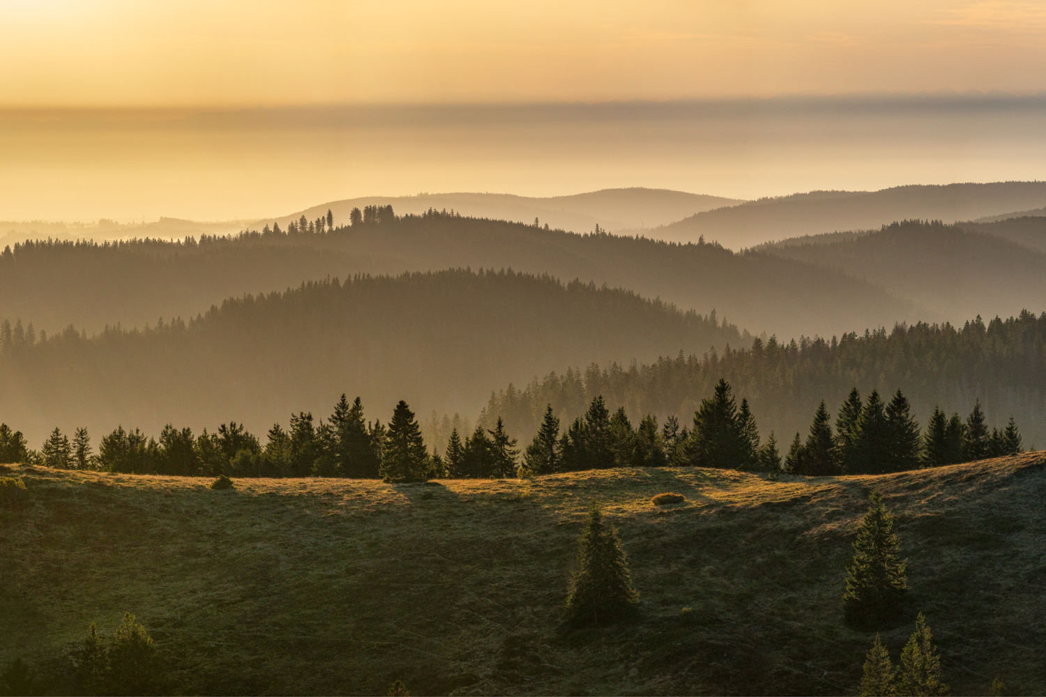 Blick vom Feldberg nach Südosten