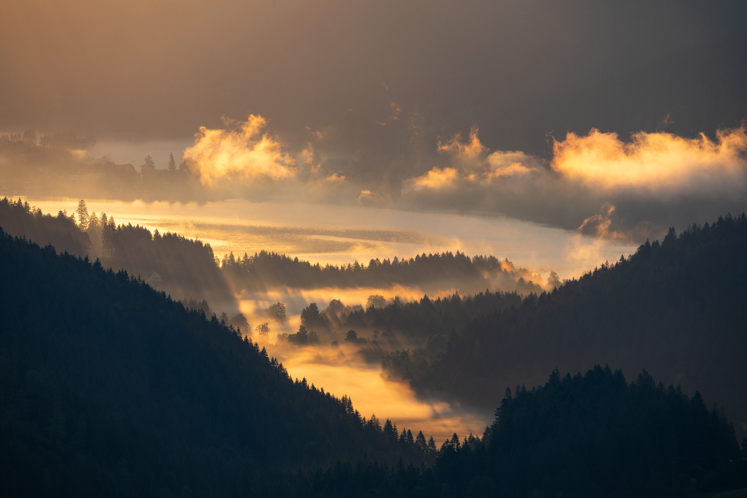 Blick durch das Bärental zum Titisee