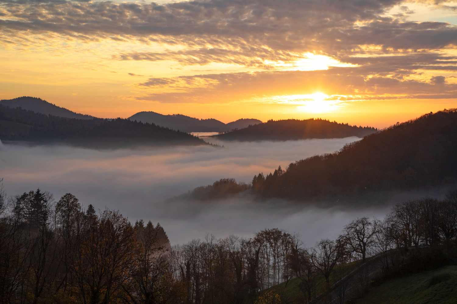 Blick vom Geiersnest nach Westen