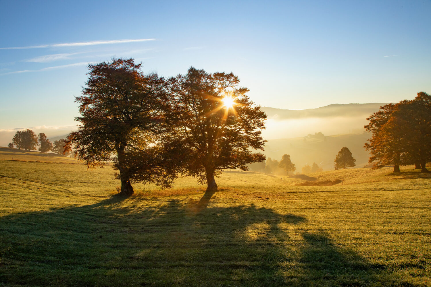 01 - Landschaft bei Hofsgrund, Schwarzwald