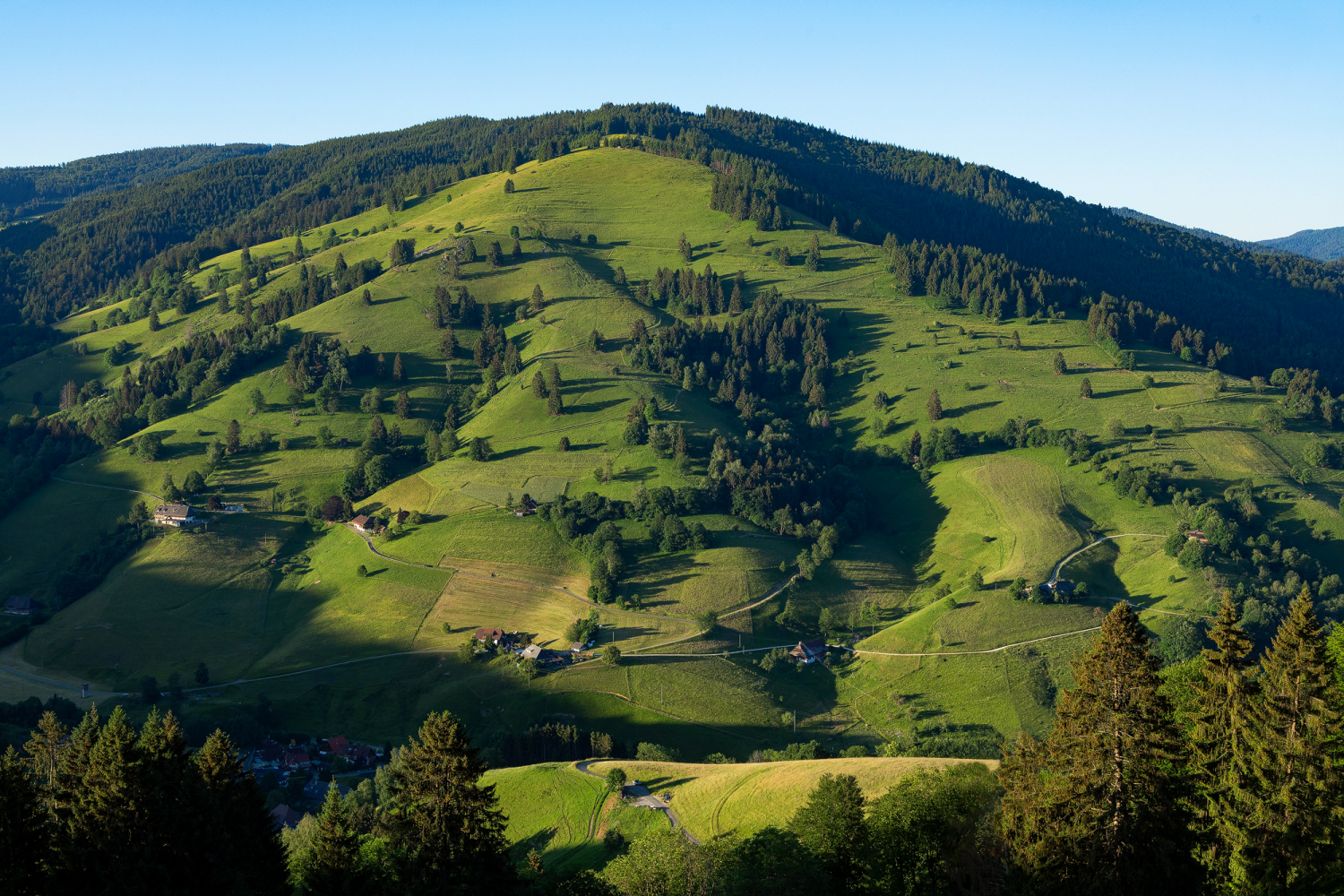 Blick auf den  Branden, Oberes Münstertal