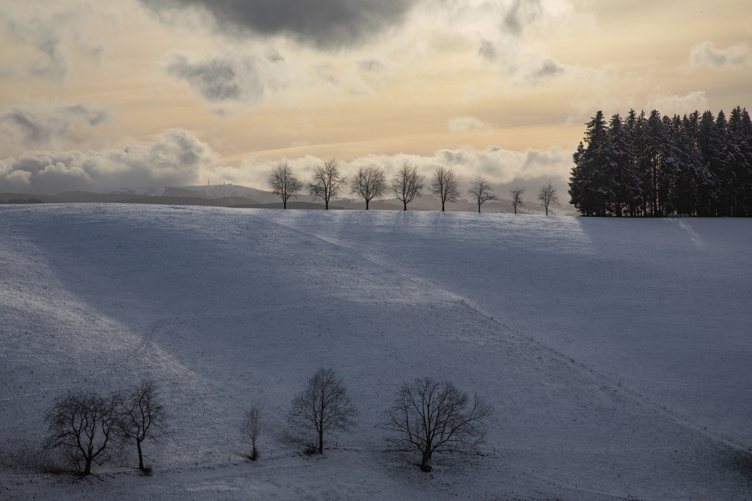 08 - Baumreihe bei St. Märgen