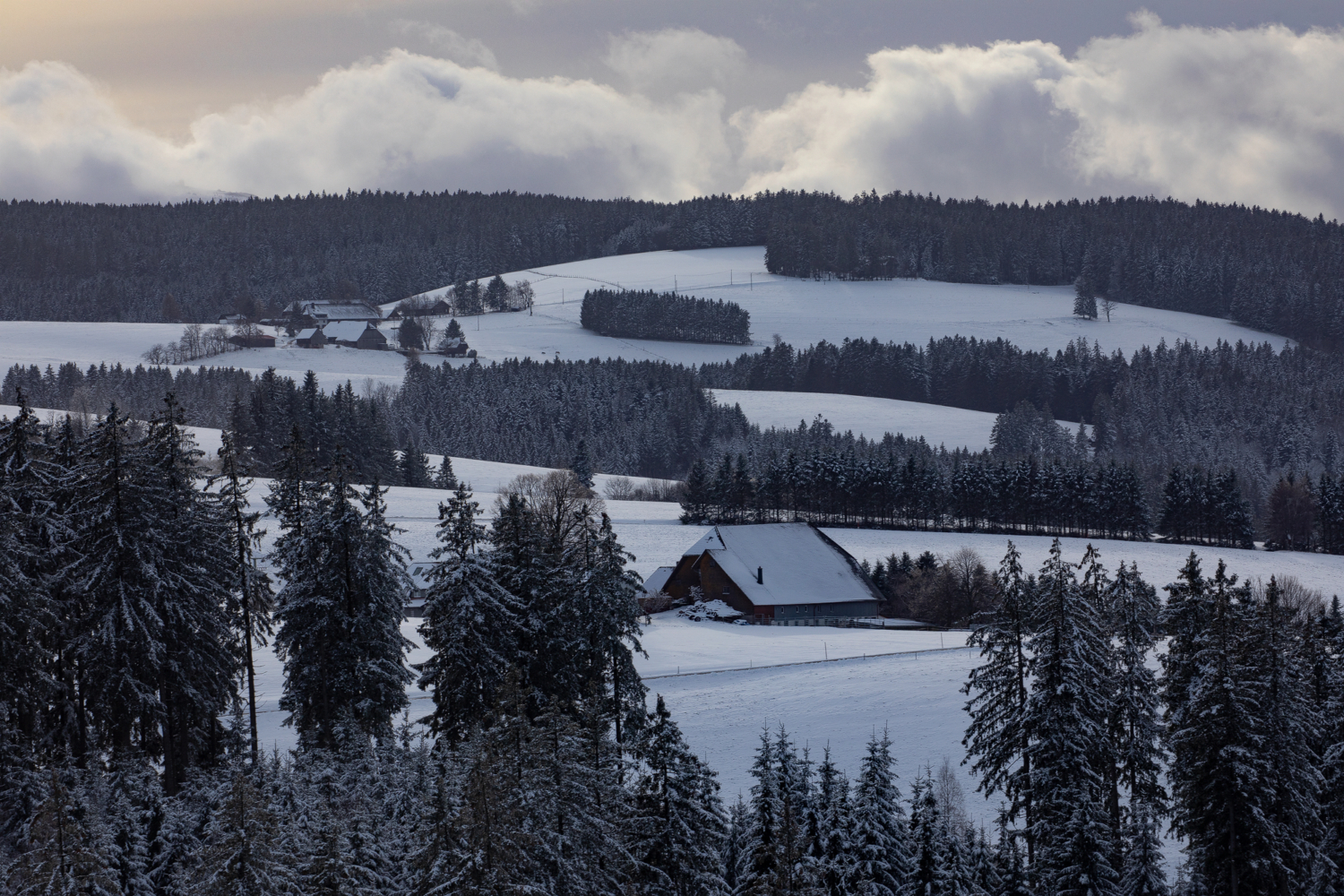 10 -Bauernhof am Thurner
