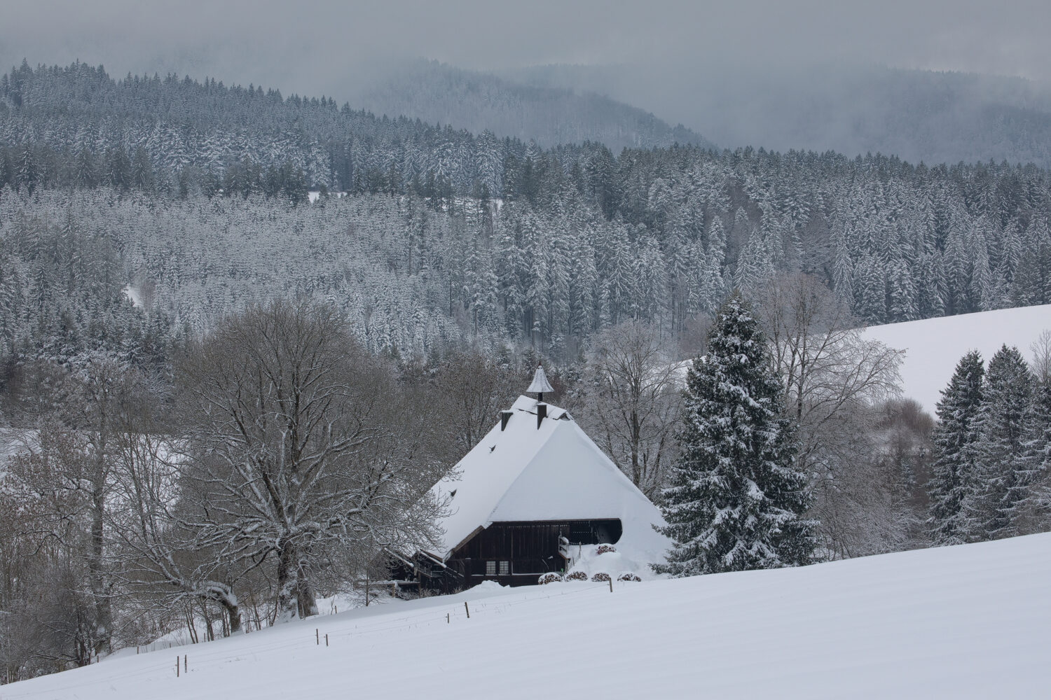 11 - Bauernhof bei Gütenbach