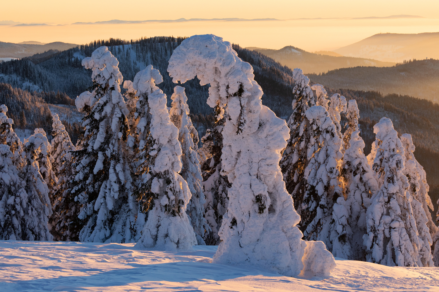 04 - Blick vom Feldberg nach Süden