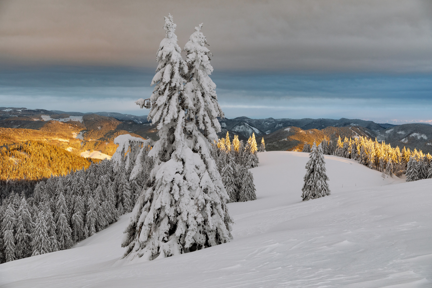 03 - Blick vom Belchen nach Osten