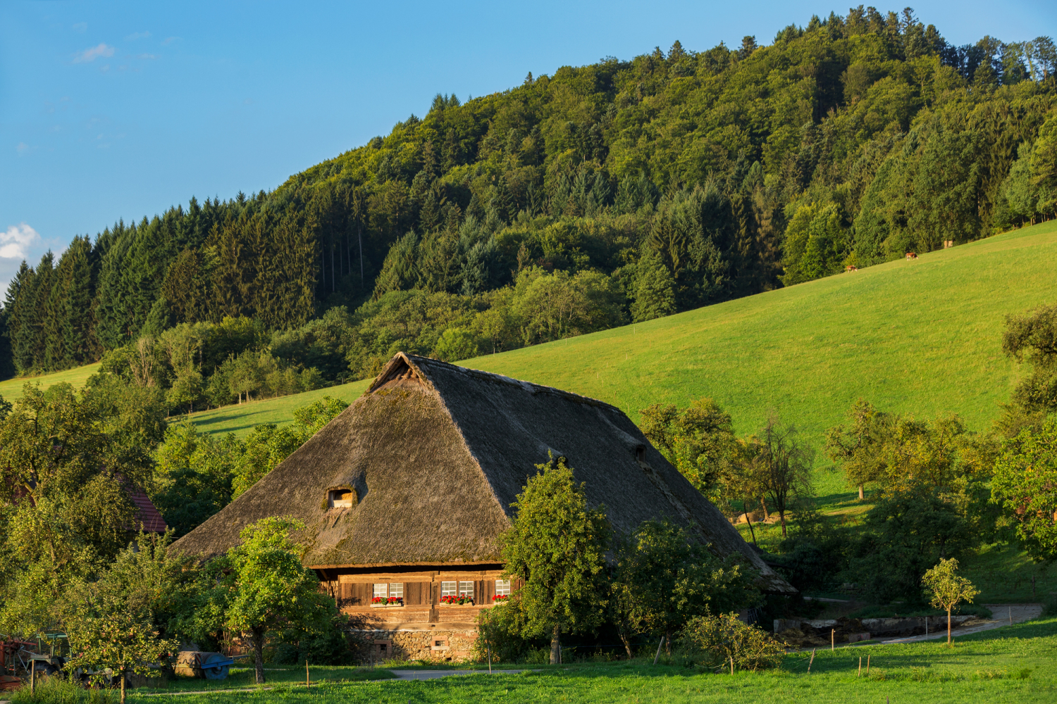 Bauernhof im Glottertal