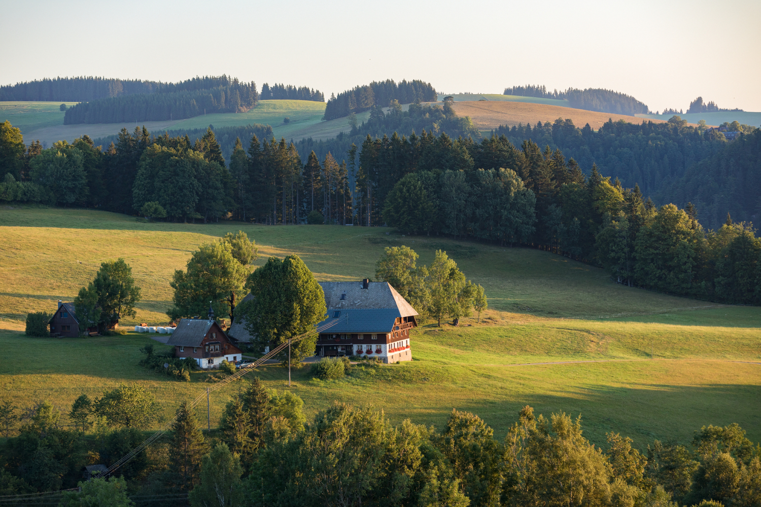 Bauernhof bei Hinterzarten