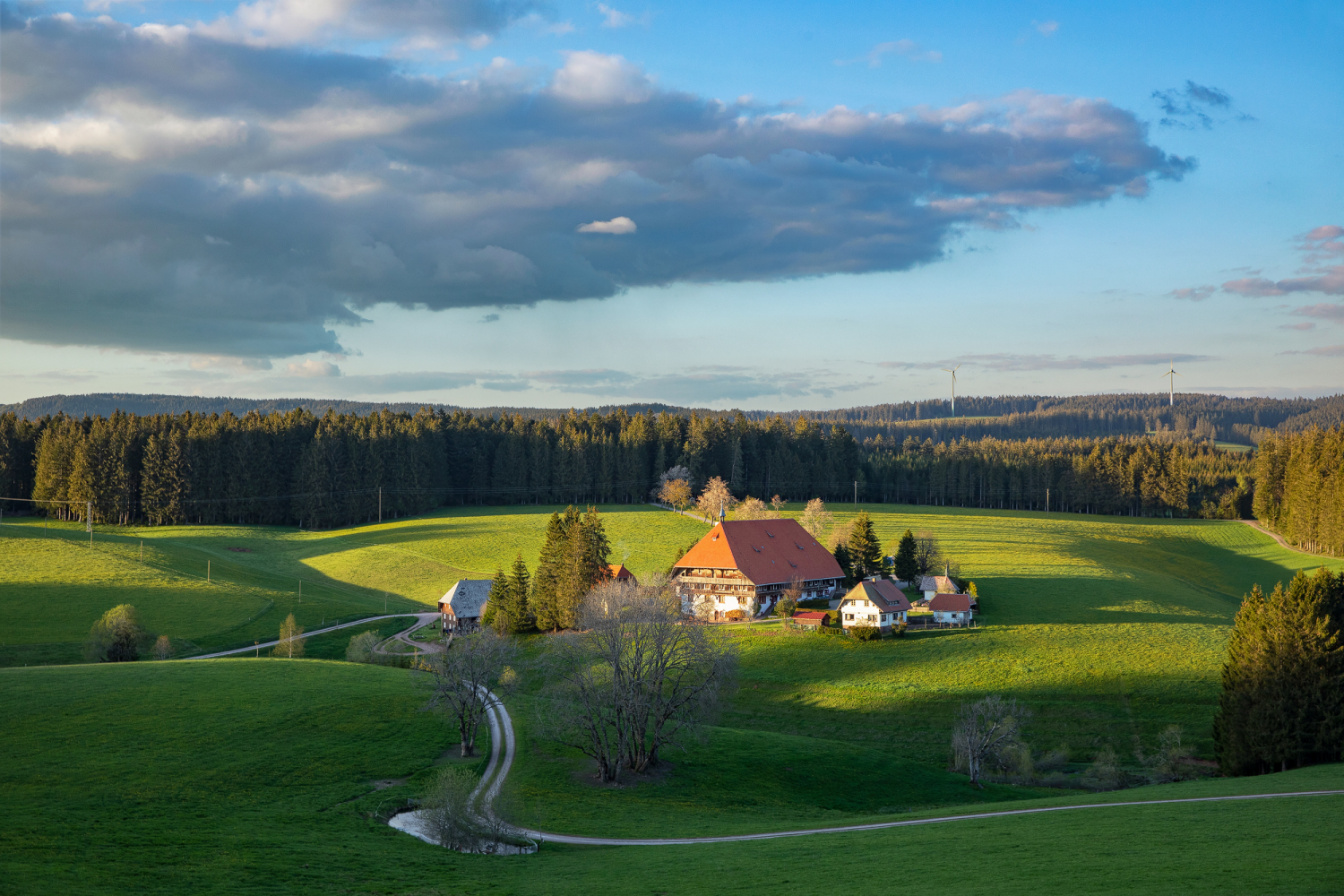 Bauernhof bei Gütenbach