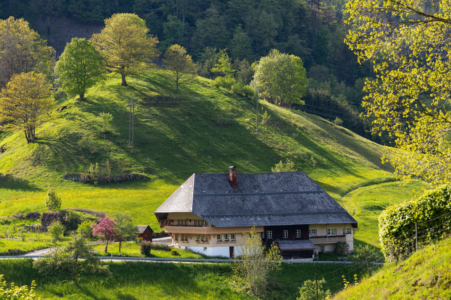 Bauernhof bei Präg, Schwarzwald