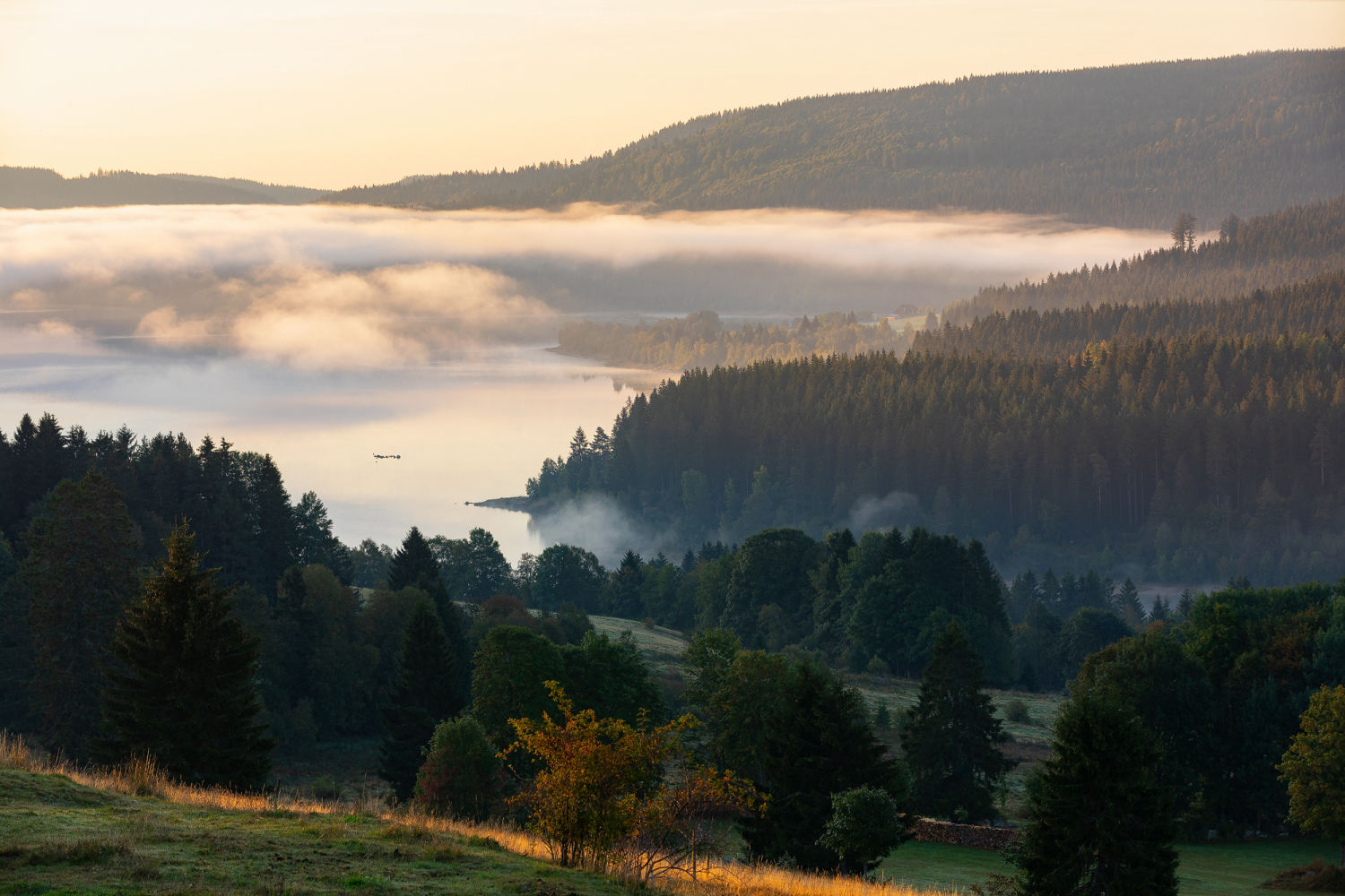 10 - Schluchsee, Schwarzwald