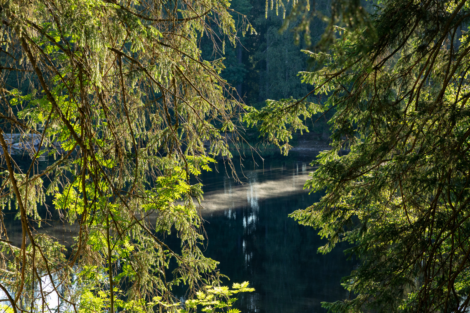 05 - Mathisleweiher, Schwarzwald