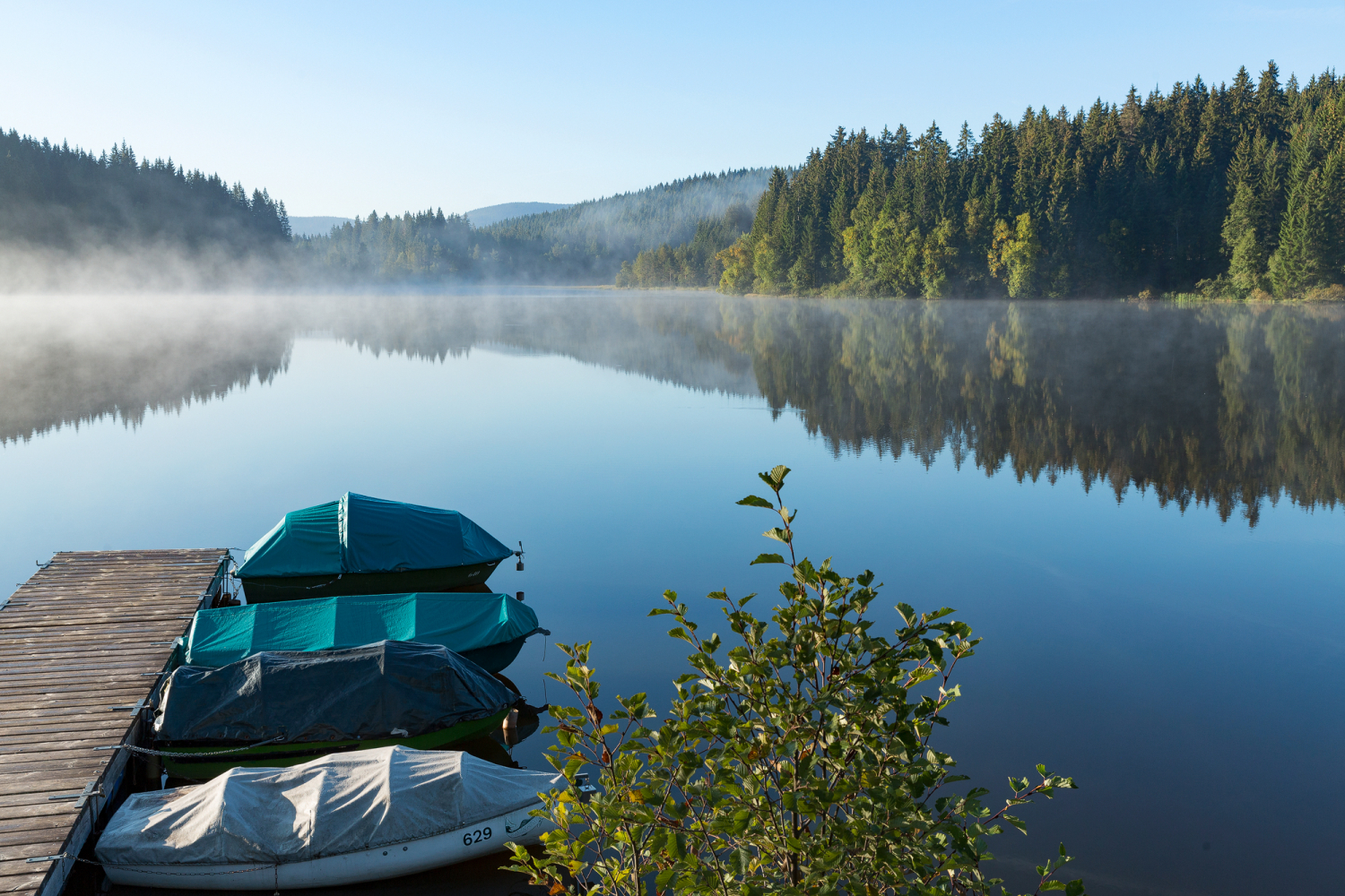 09 - Windgfällweiher, Schwarzwald