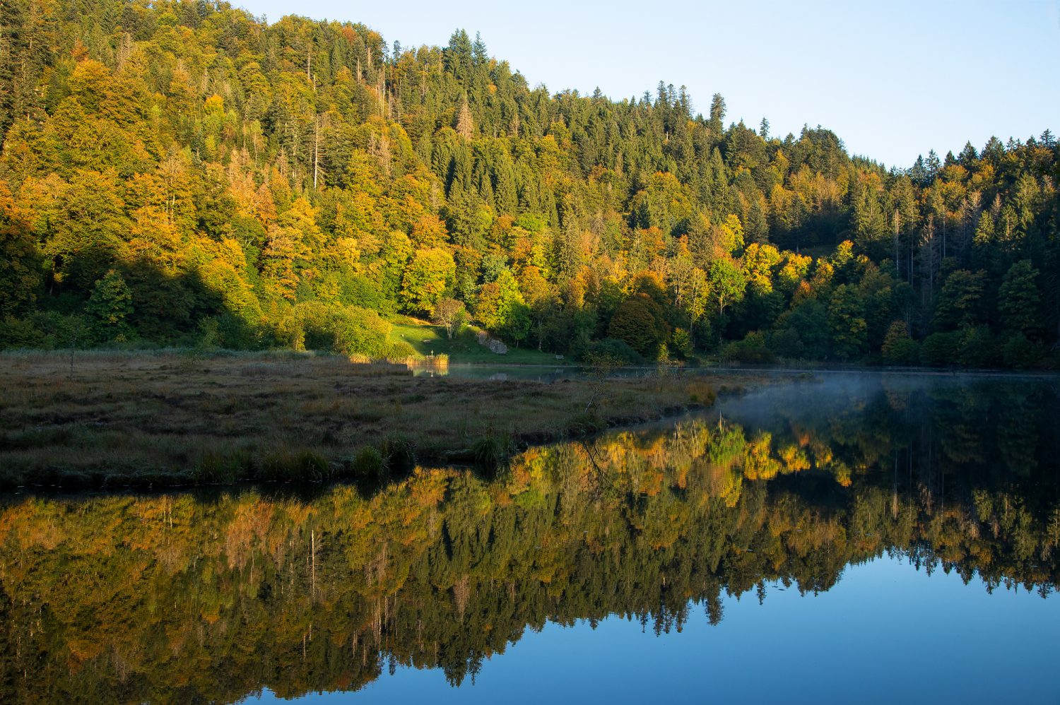 01 - Nonnenmattweiher, Schwarzwald