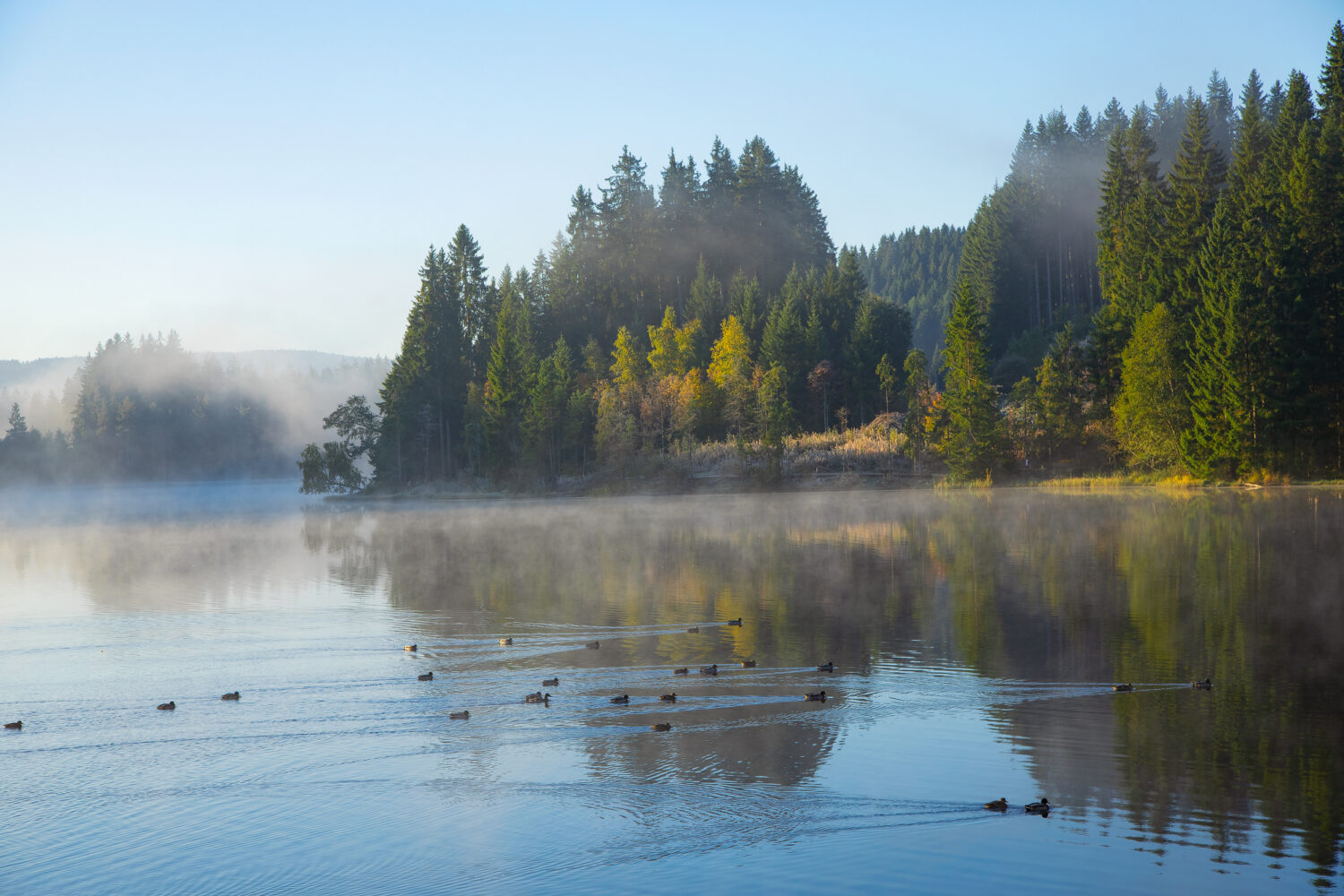07 - Windgfällweiher, Schwarzwald