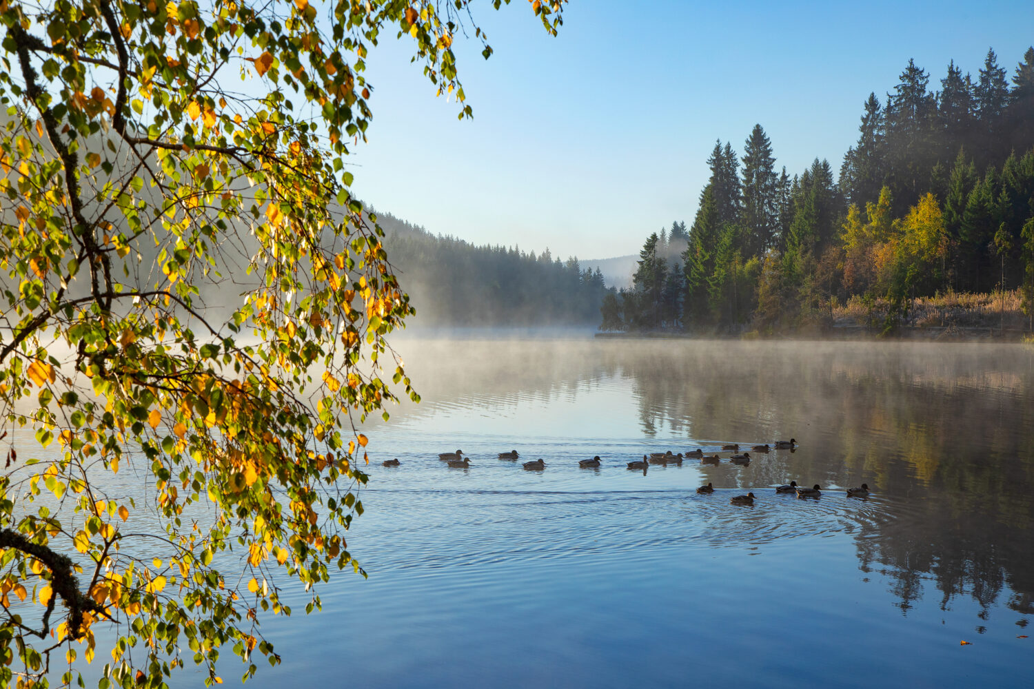 01- Windgfällweiher, Schwarzwald