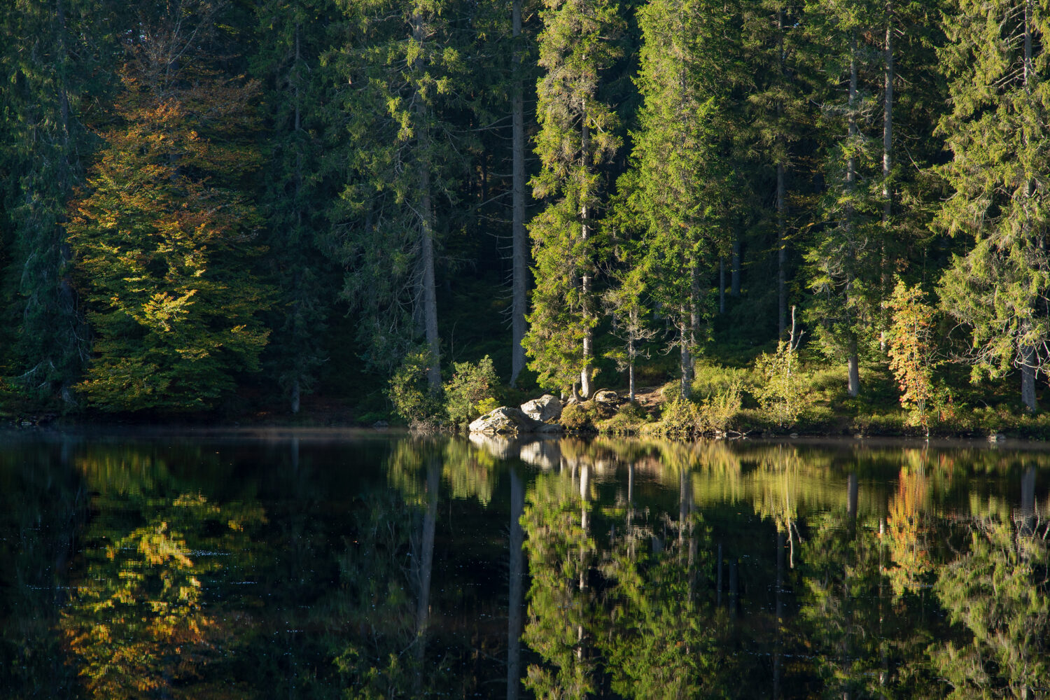 08 - Mathisleweiher, Schwarzwald