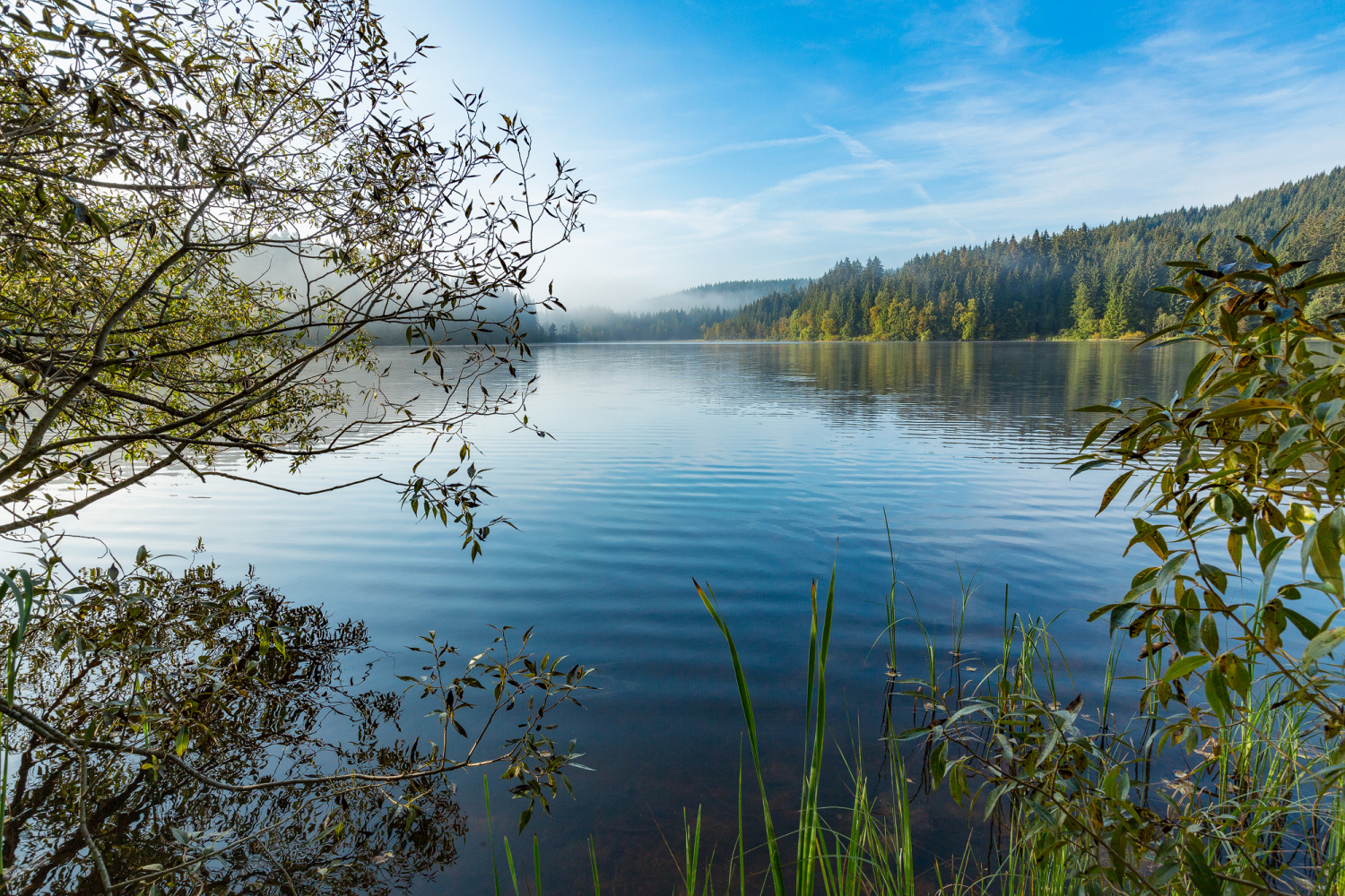 03 - Windgfällweiher, Schwarzwald