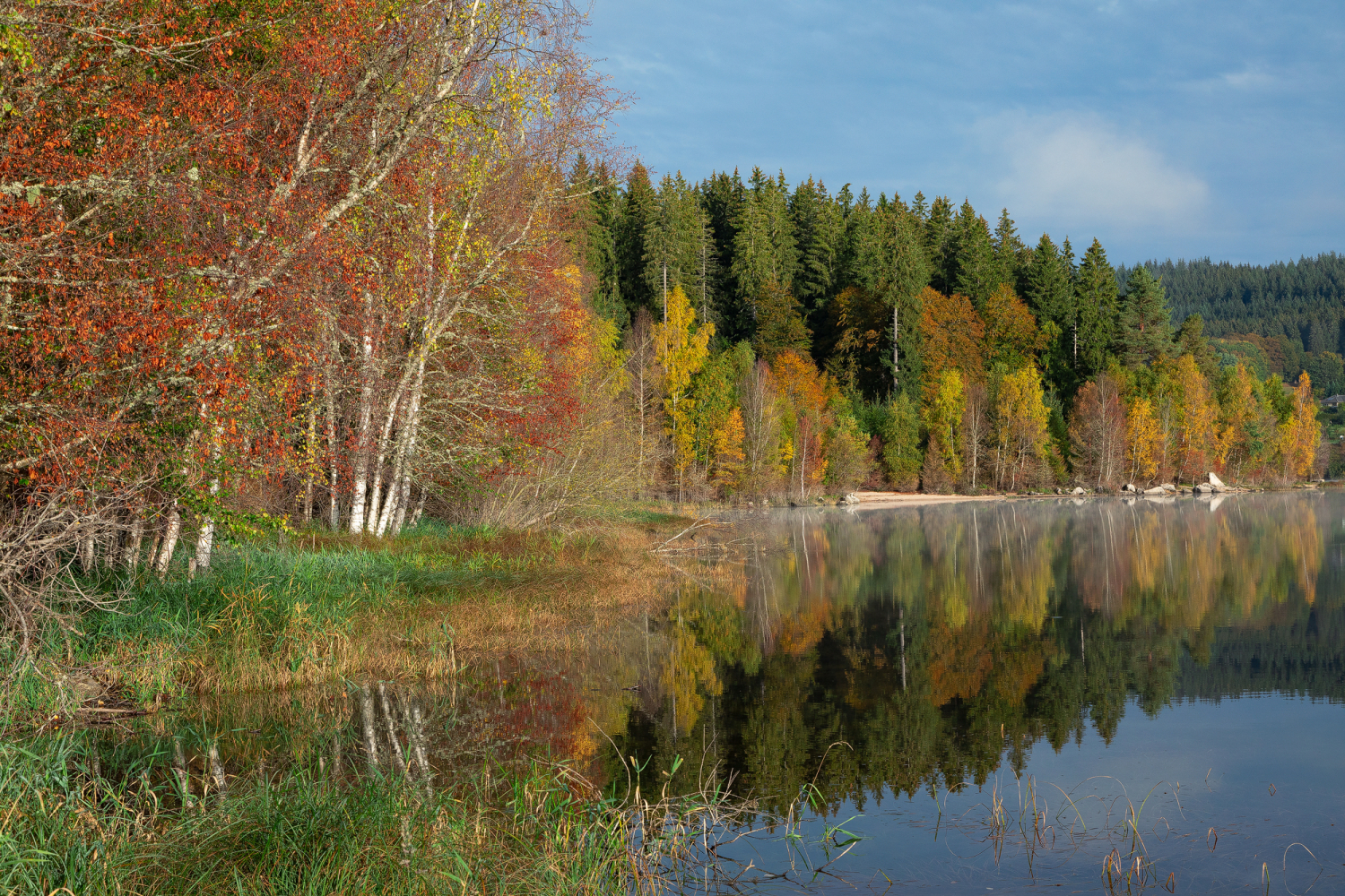 12 - Schluchsee, Schwarzwald