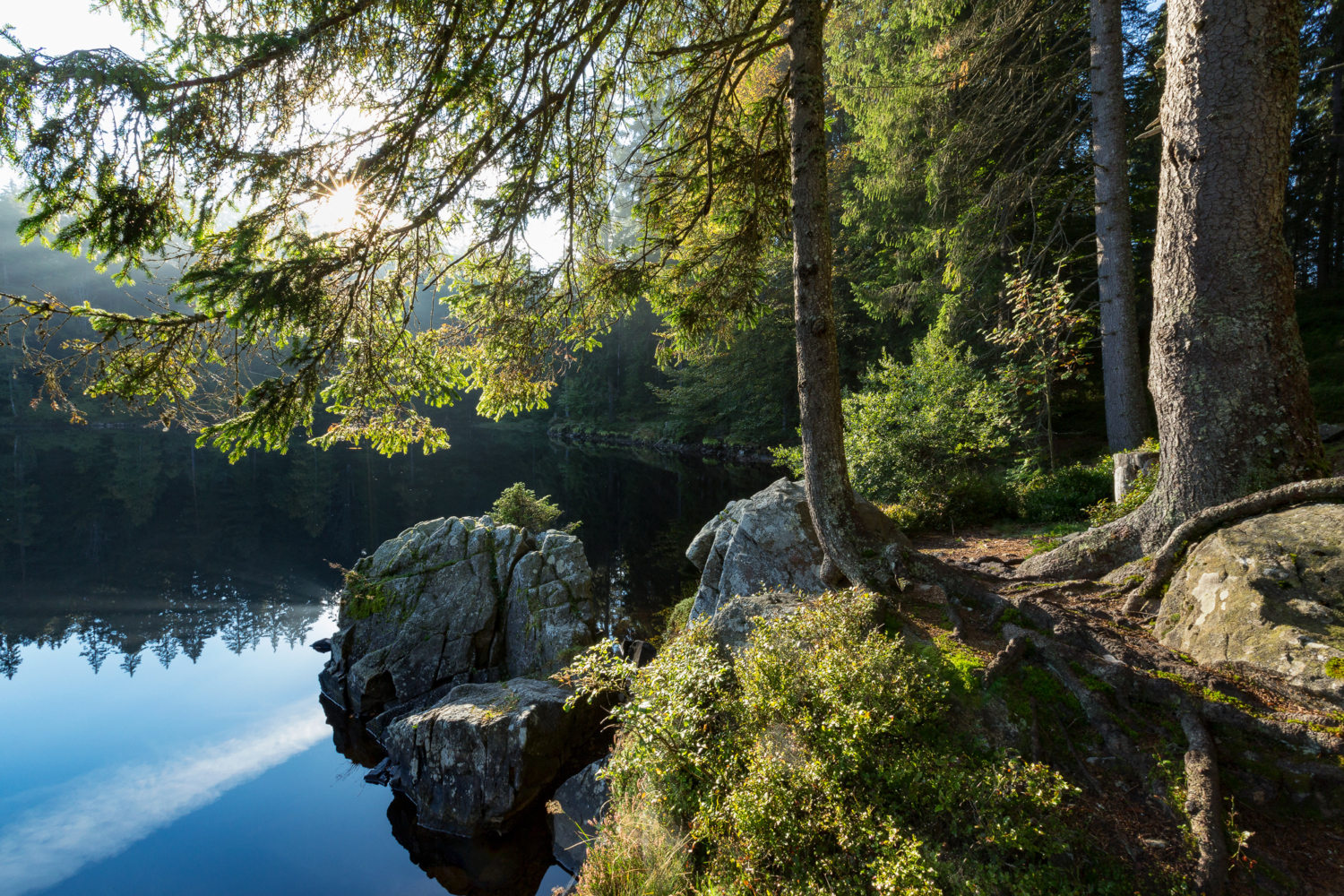 04 - Mathisleweiher, Schwarzwald
