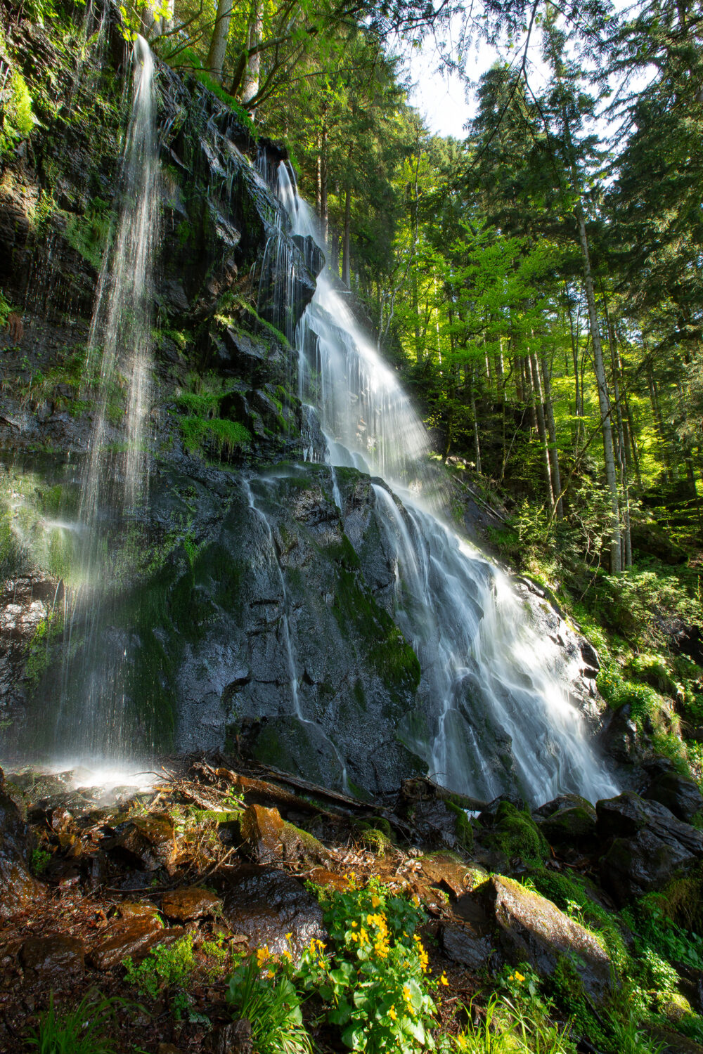 03 - Zweribach Wasserfall im Simonswälder Tal