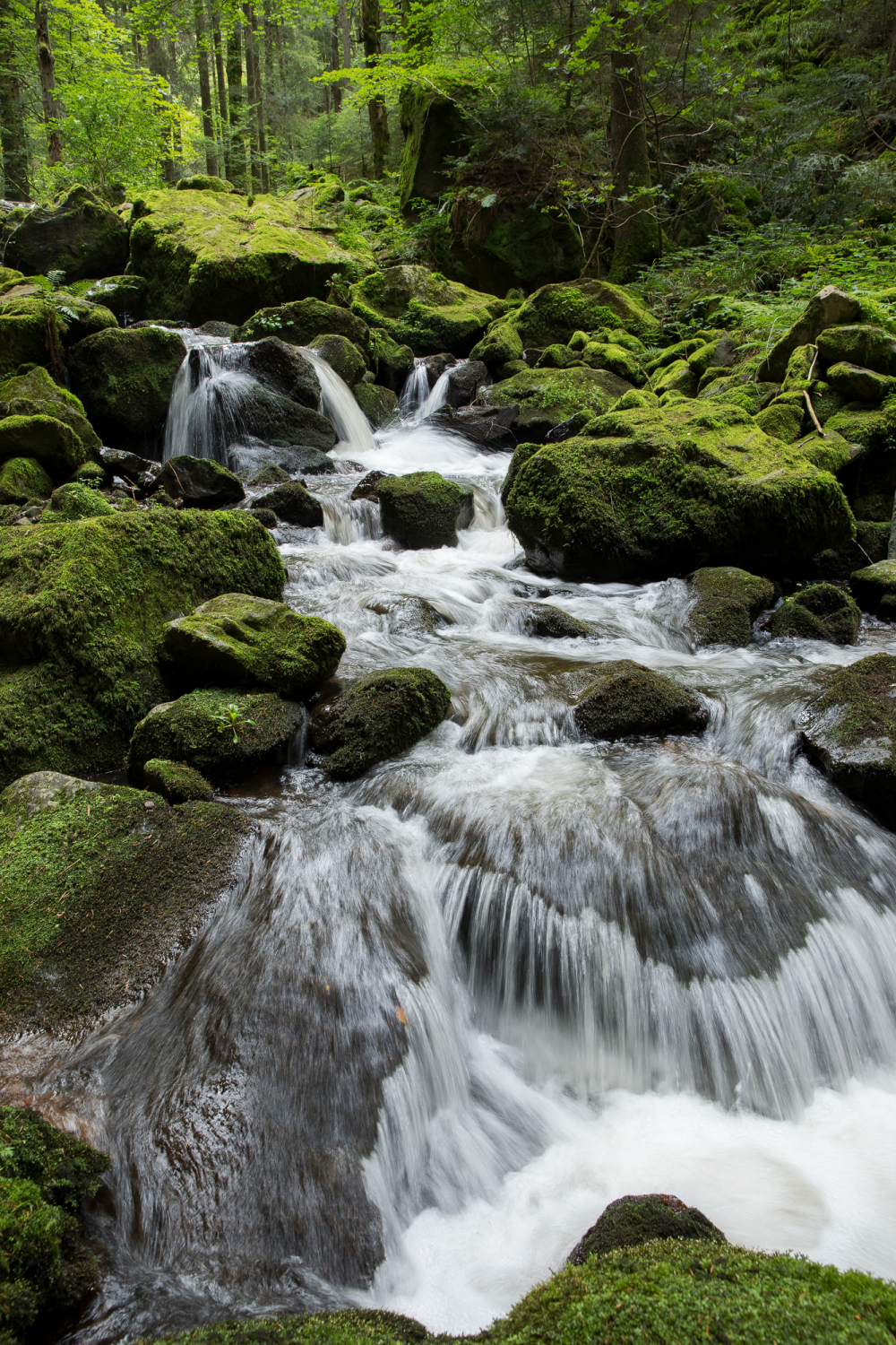 09 - Wilde Gutach in der Teichbachschlucht